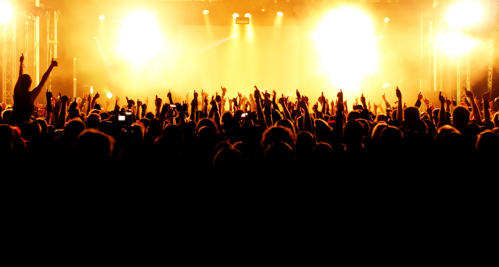 crowd-concert